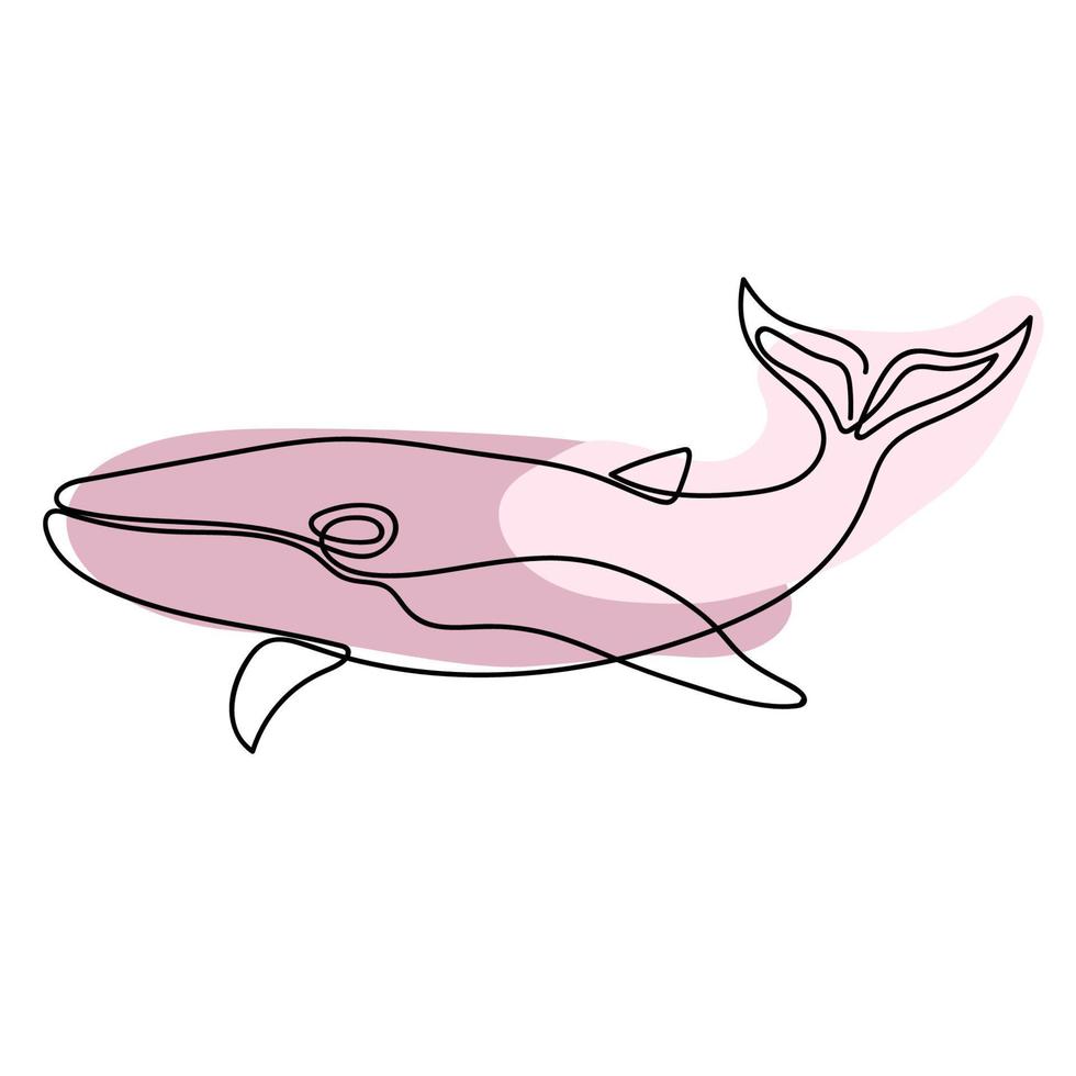 baleine tiré dans un ligne sur blanc avec rose taches de peindre. sous-marin animal. mammifère de le océans. conception pour logo, tatouage. vecteur