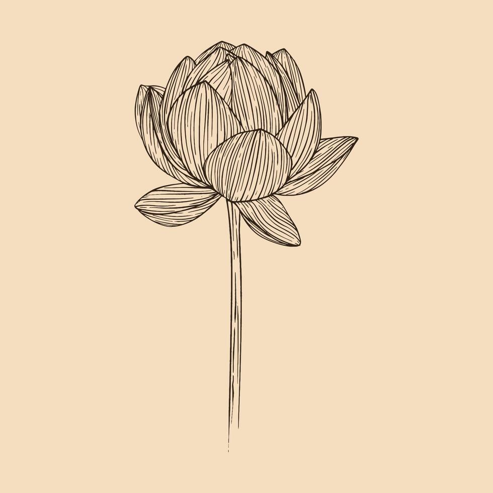 lotus fleur vecteur illustration avec ligne art