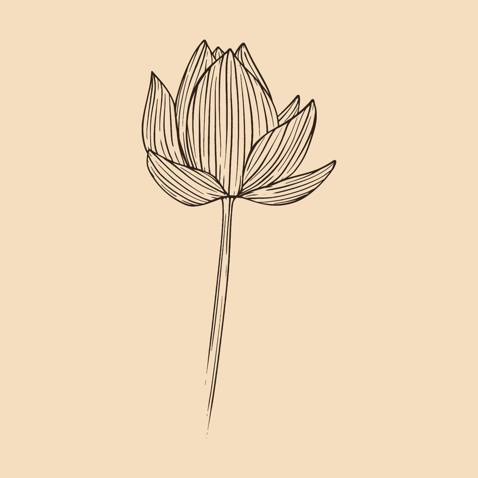 lotus fleur vecteur illustration avec ligne art