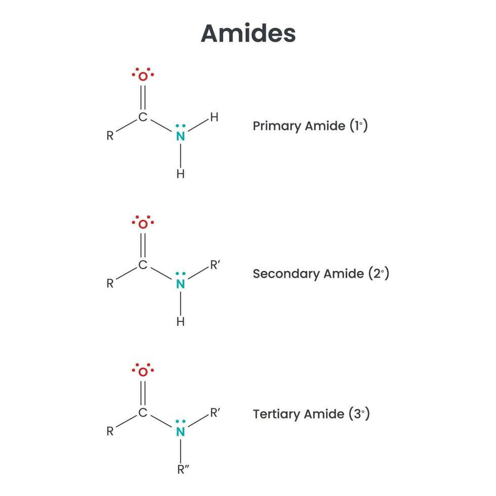 amides biochimie fonctionnel groupe science vecteur infographie