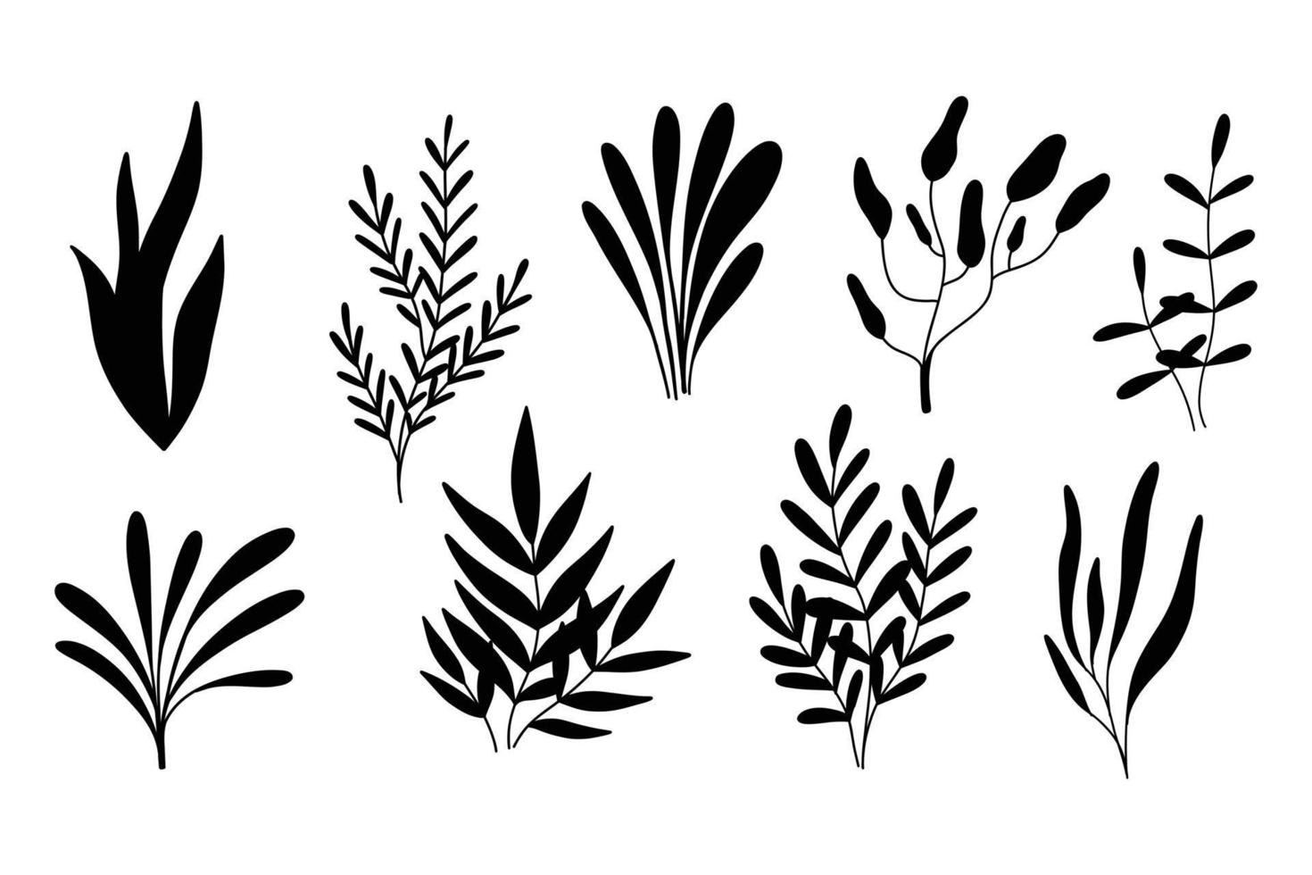 algues silhouettes ensemble. vecteur illustration. algues collection. mer les plantes.