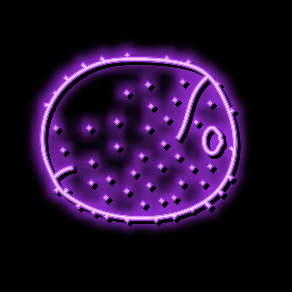kiwi couleur fraîche icône illustration vectorielle vecteur