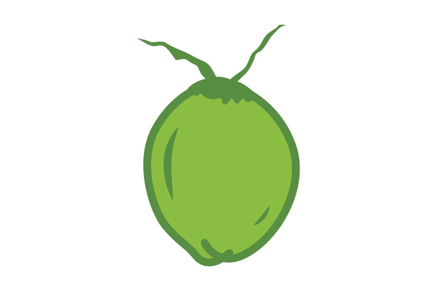 vert noix de coco fruit icône illustration vecteur