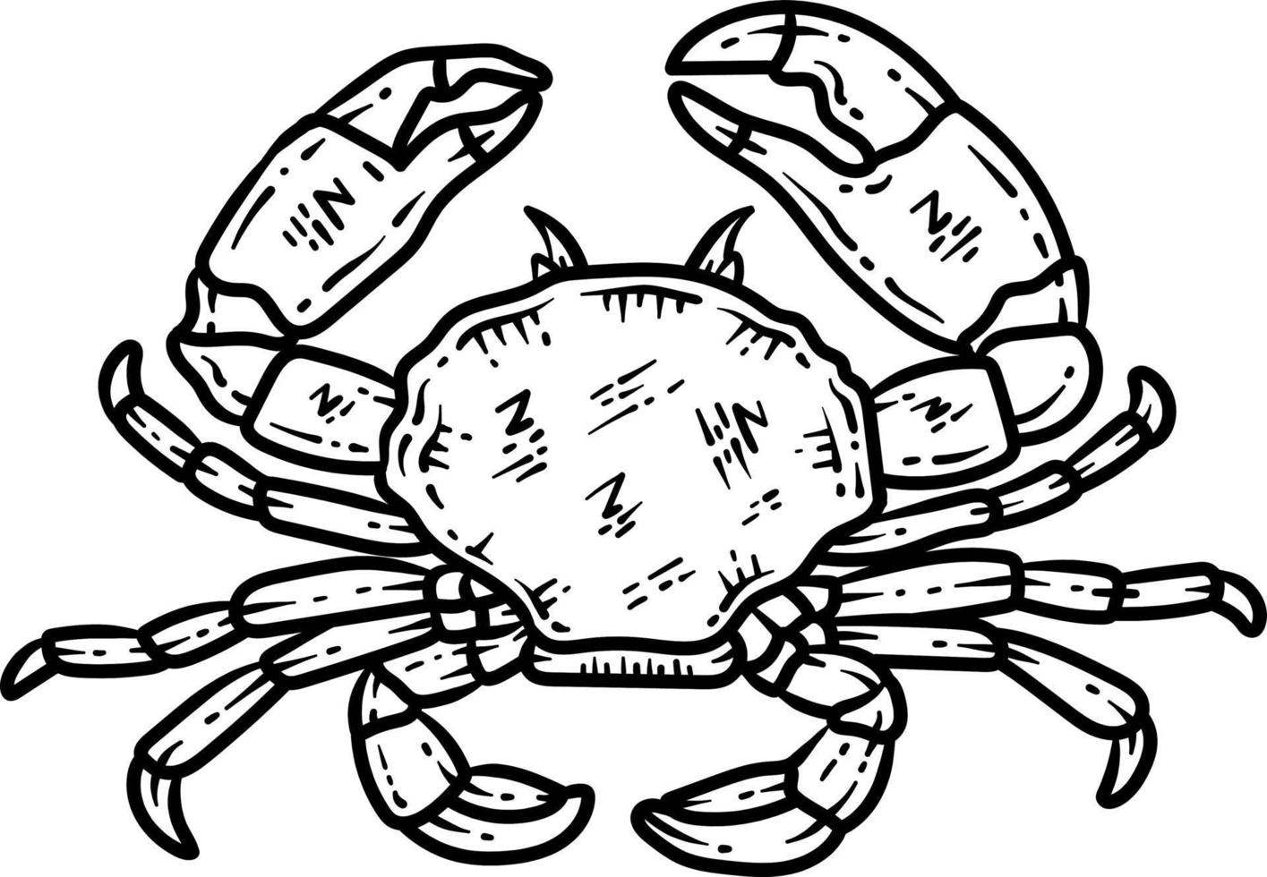 été Crabe ligne art coloration page pour adulte vecteur