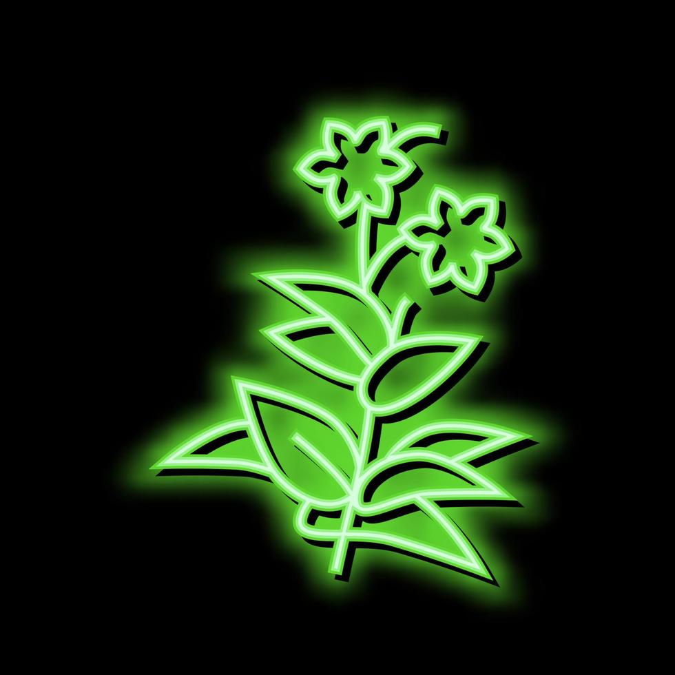 fleur plante phytothérapie néon lueur icône illustration vecteur