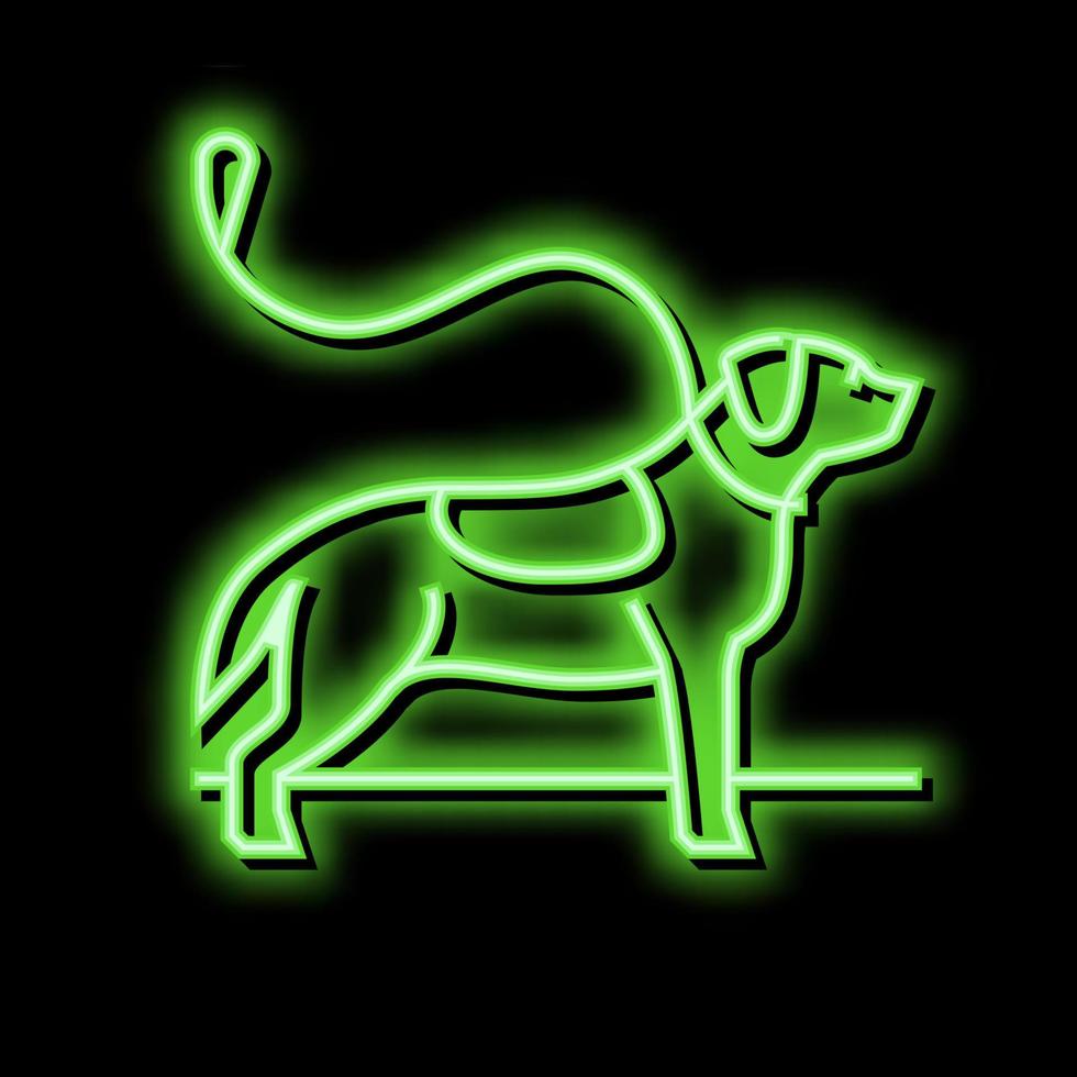 verser en dehors chien néon lueur icône illustration vecteur