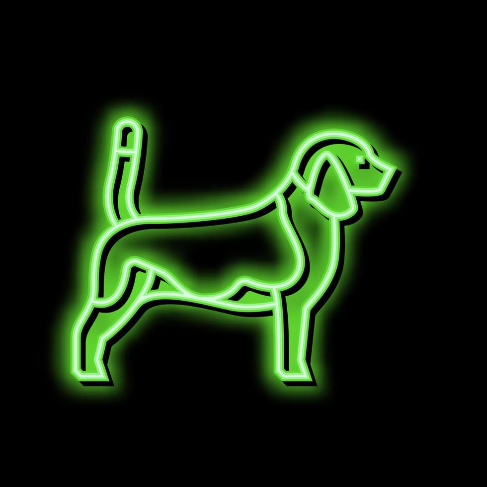 beagle chien néon lueur icône illustration vecteur