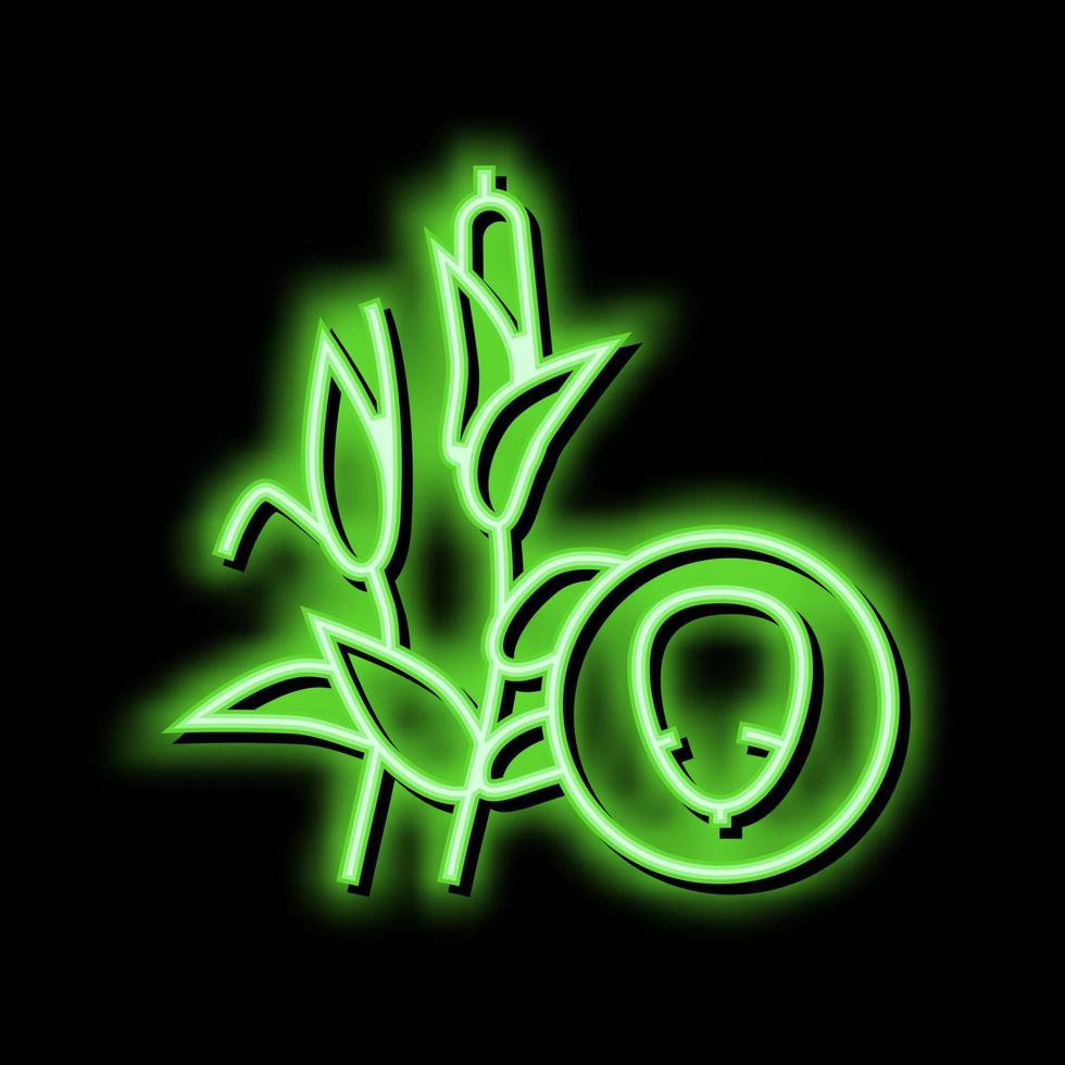 blé gruau néon lueur icône illustration vecteur