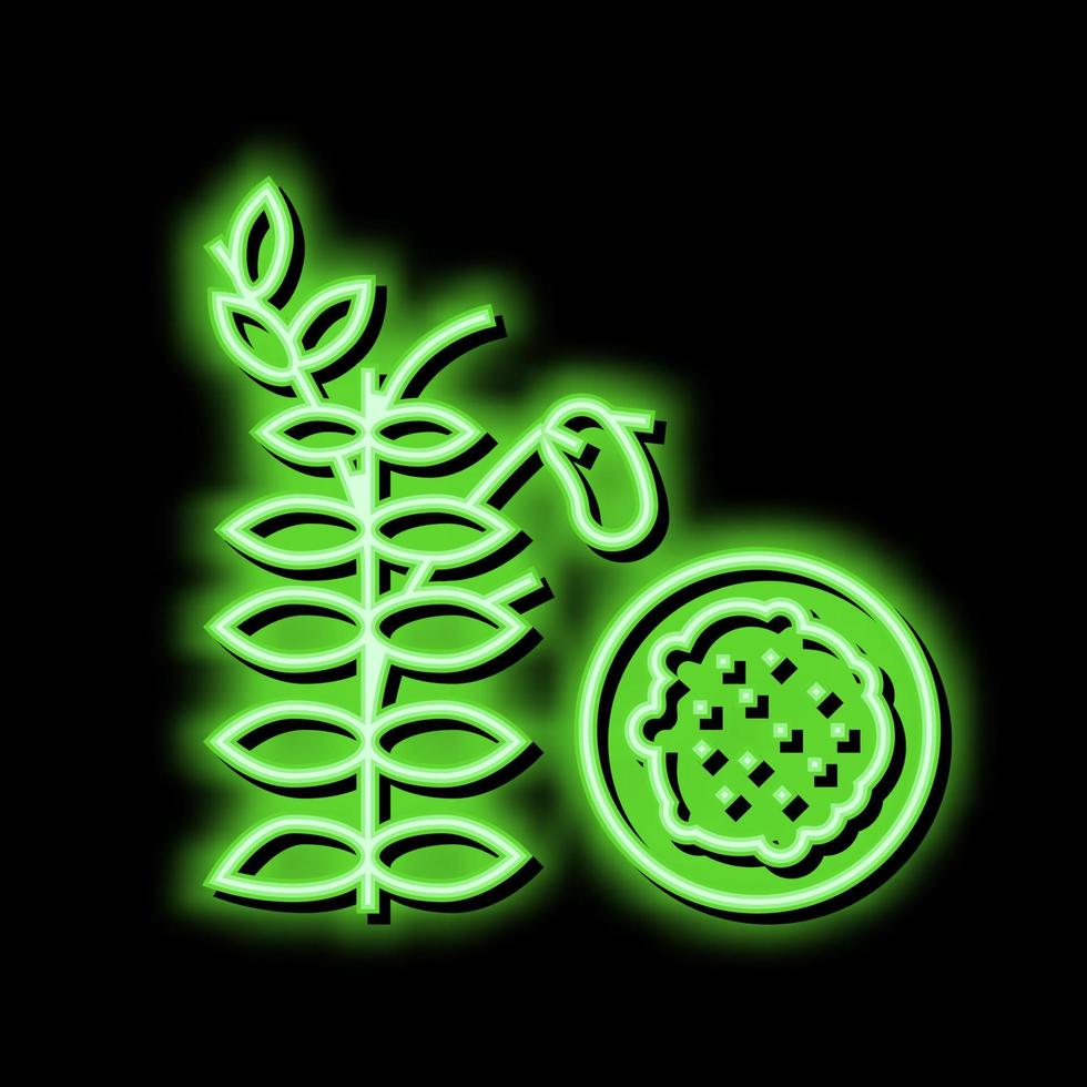 Lentilles gruau néon lueur icône illustration vecteur
