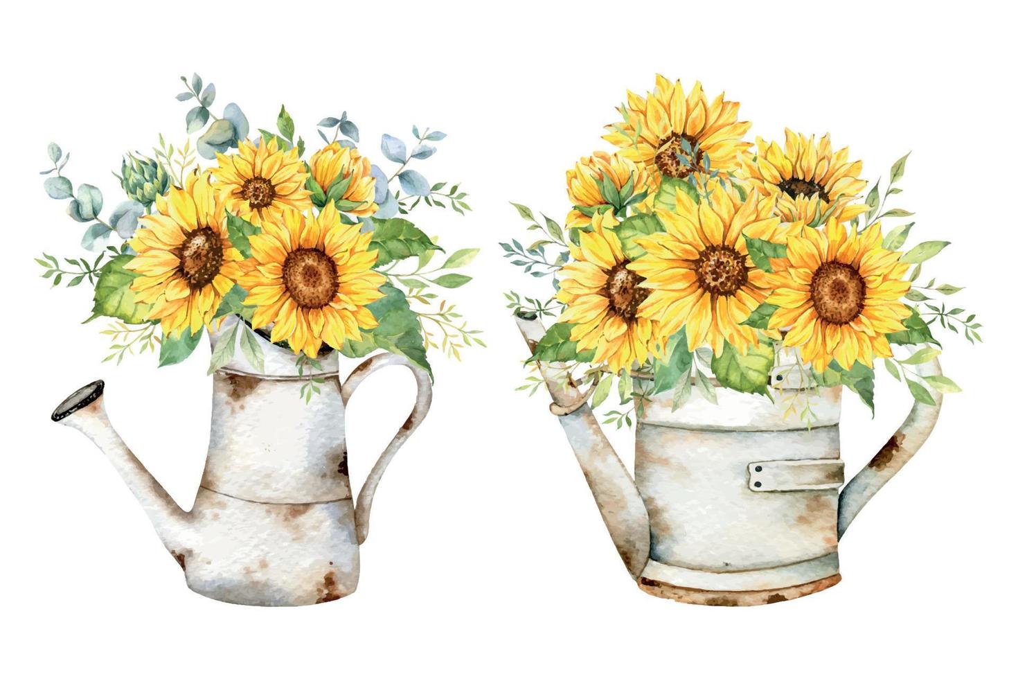 aquarelle tournesols bouquet, main peint tournesol bouquets avec verdure, tournesol fleur arrangement. tournesol ferme décor. aquarelle floral. botanique dessin. blanc Contexte vecteur