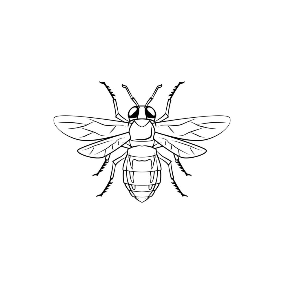 abeille symbole illustration conception vecteur