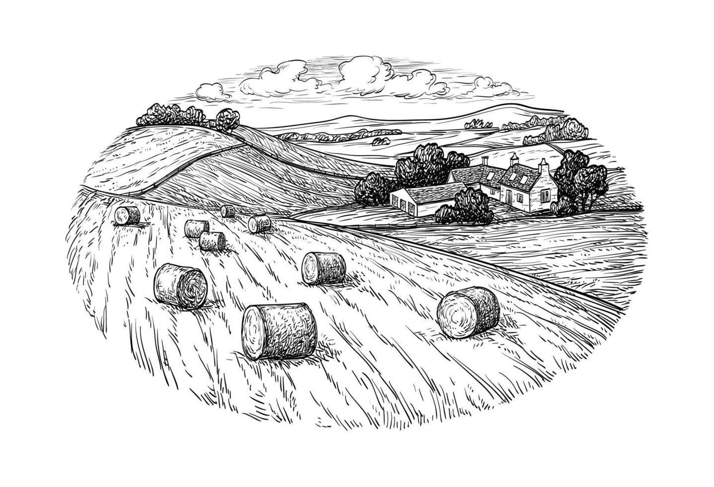 rural paysage avec foins balles. blé champ et cultiver. campagne paysage. rétro style. vecteur
