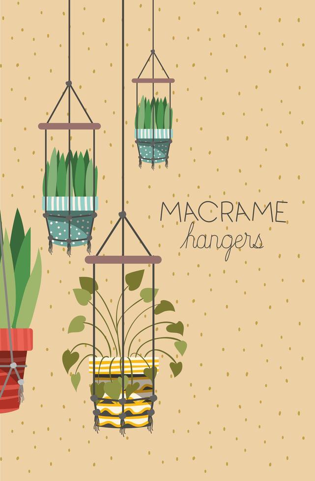 plantes d'intérieur dans des cintres en macramé vecteur