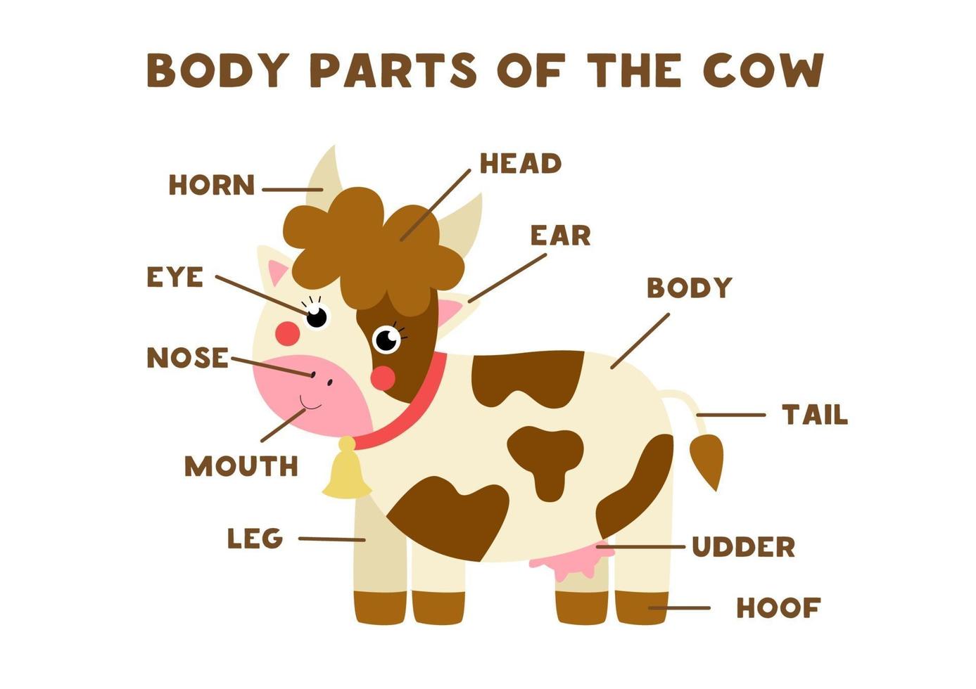 parties du corps de la vache. programme pour les enfants. vecteur