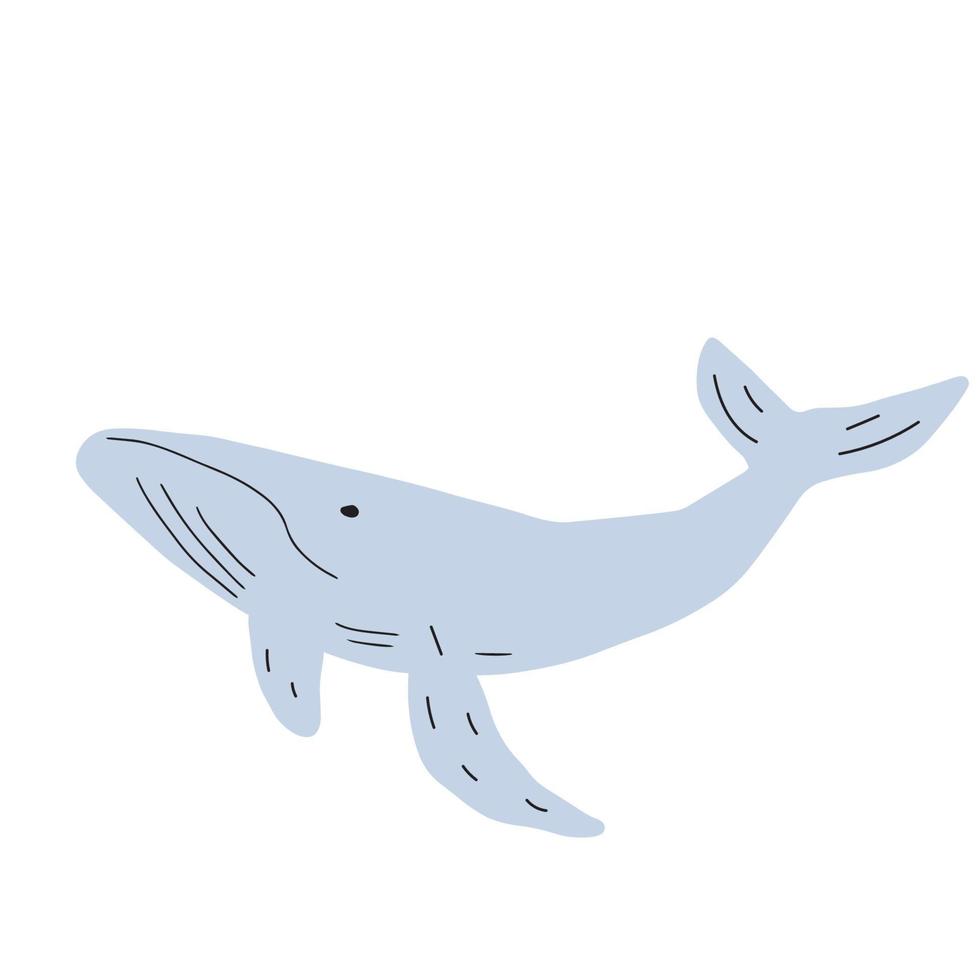 baleine, océan animal. la vie marine dans scandinave style sur une blanc Contexte. génial pour affiche, carte, vêtements imprimer. vecteur illustration