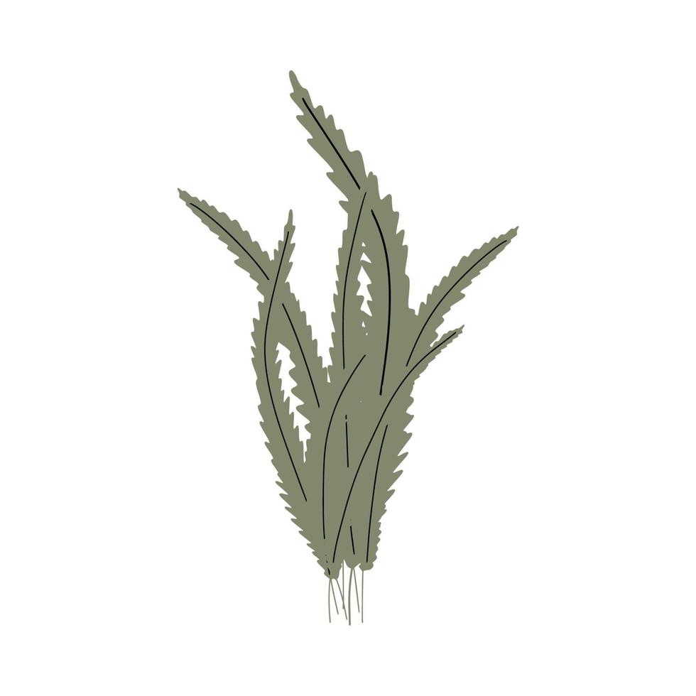 corail. sous-marin plante. vecteur illustration dans scandinave style. algue.