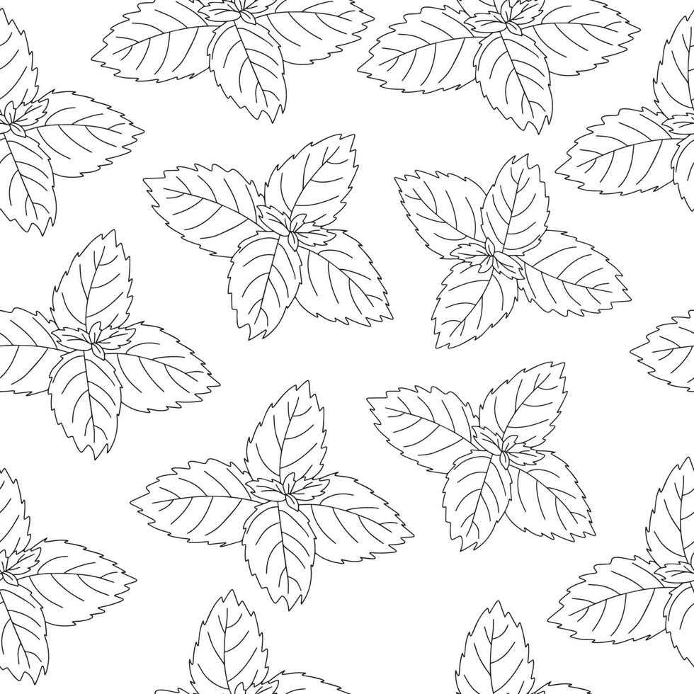 sans couture modèle de menthe feuille icône. isolé illustration de une menthe feuille icône dans linéaire style sur une blanc Contexte vecteur