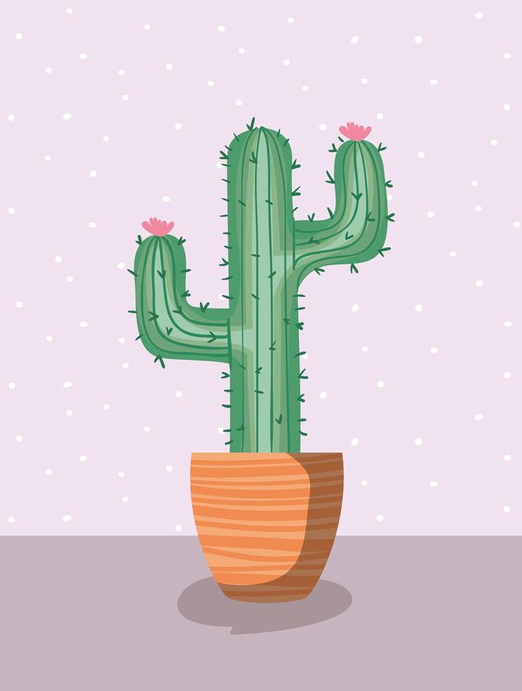 plante d'intérieur de cactus en pot vecteur