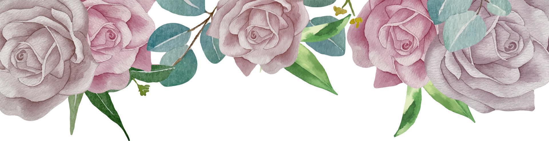 aquarelle rose et violet des roses planche. aquarelle main La peinture floral Contexte avec endroit pour texte avec bouquets de rose des roses. isolé sur blanc Contexte. vecteur