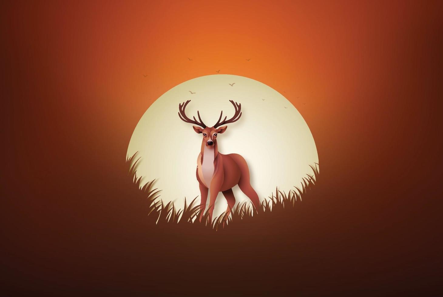 cerf sur le terrain au coucher du soleil vecteur