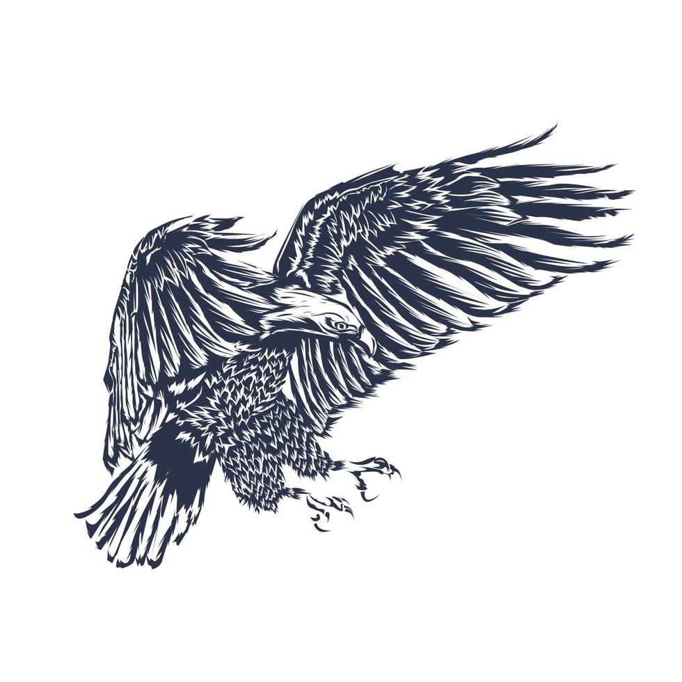 oeuvre illustration aigle vecteur