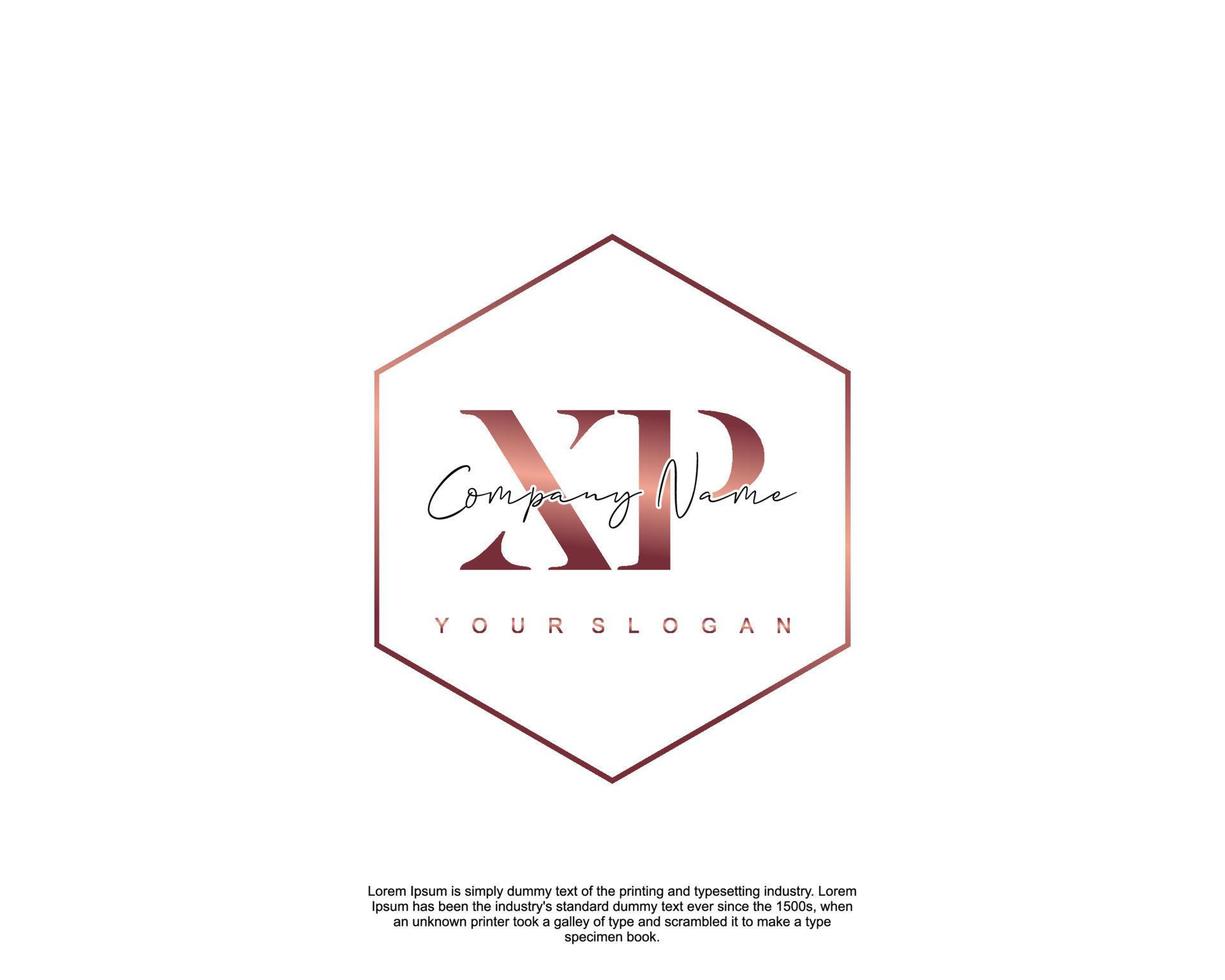 initiale lettre xp féminin logo beauté monogramme et élégant logo conception, écriture logo de initiale signature, mariage, mode, floral et botanique avec Créatif modèle vecteur