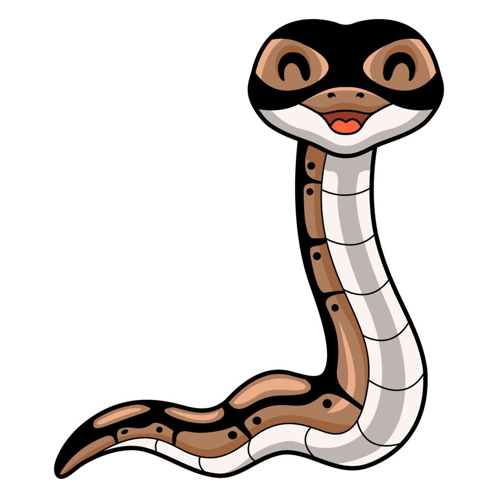 mignonne Balle python serpent dessin animé vecteur