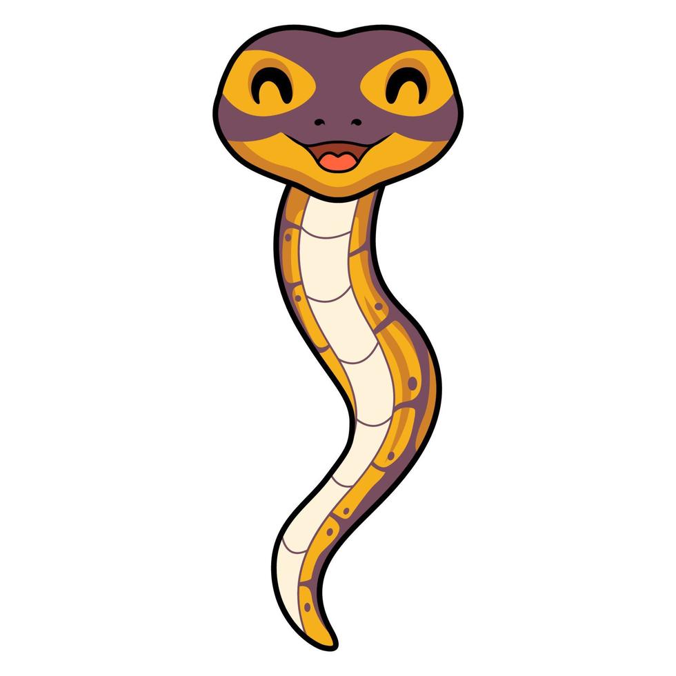 mignonne banane Balle python serpent dessin animé vecteur