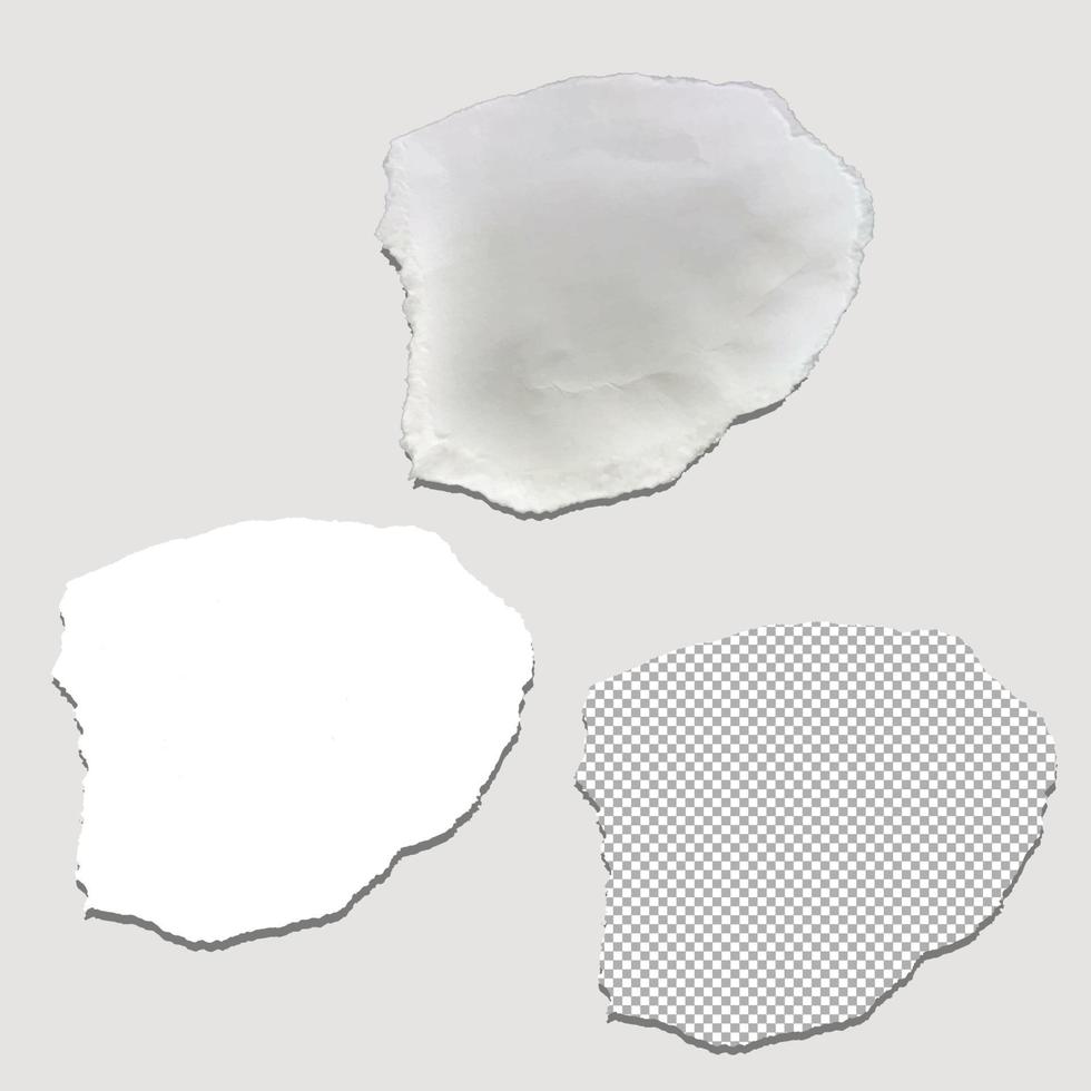 trois formes de papier déchiré vecteur