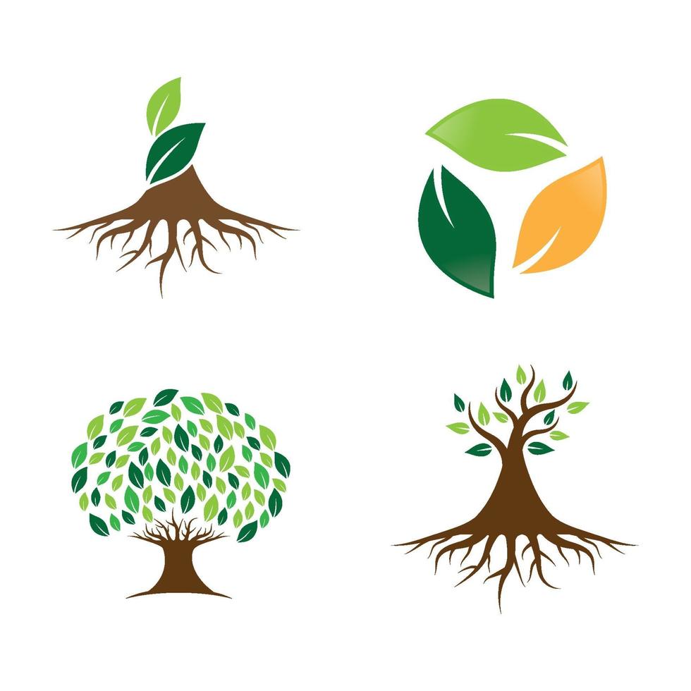 ensemble de conception d'images logo arbre vecteur
