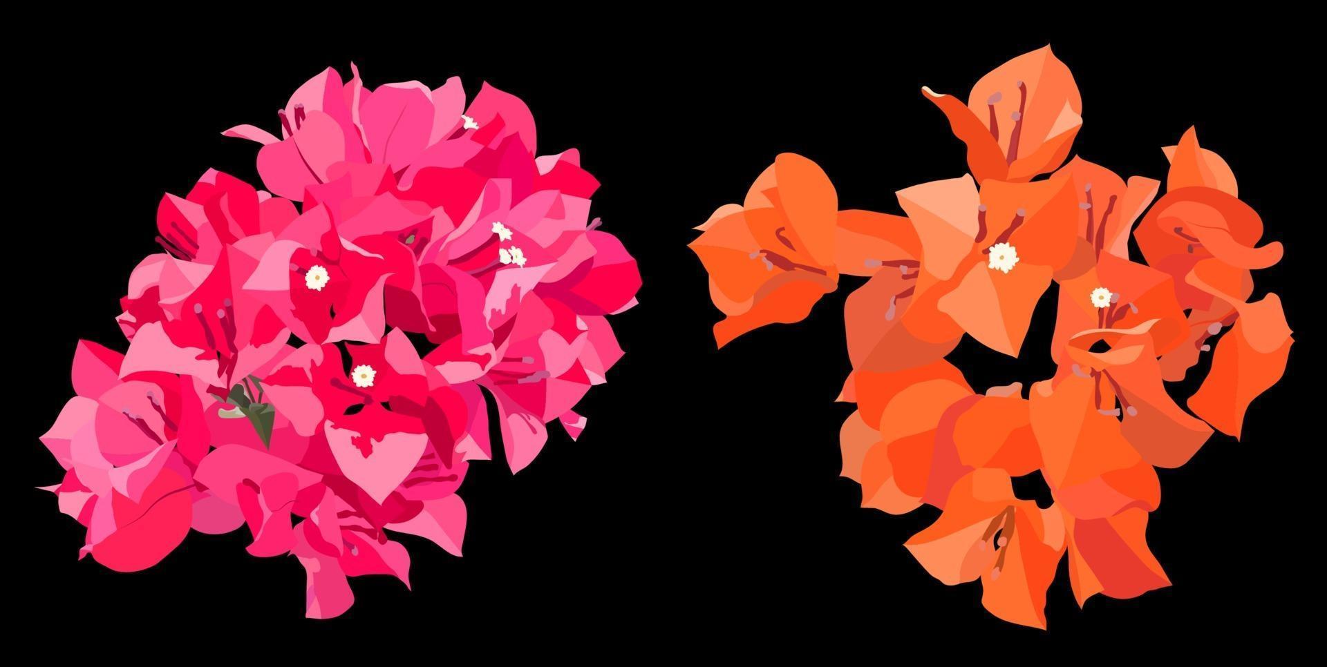 bougainvilliers roses et orange sur fond sombre, style plat minimal de vecteur