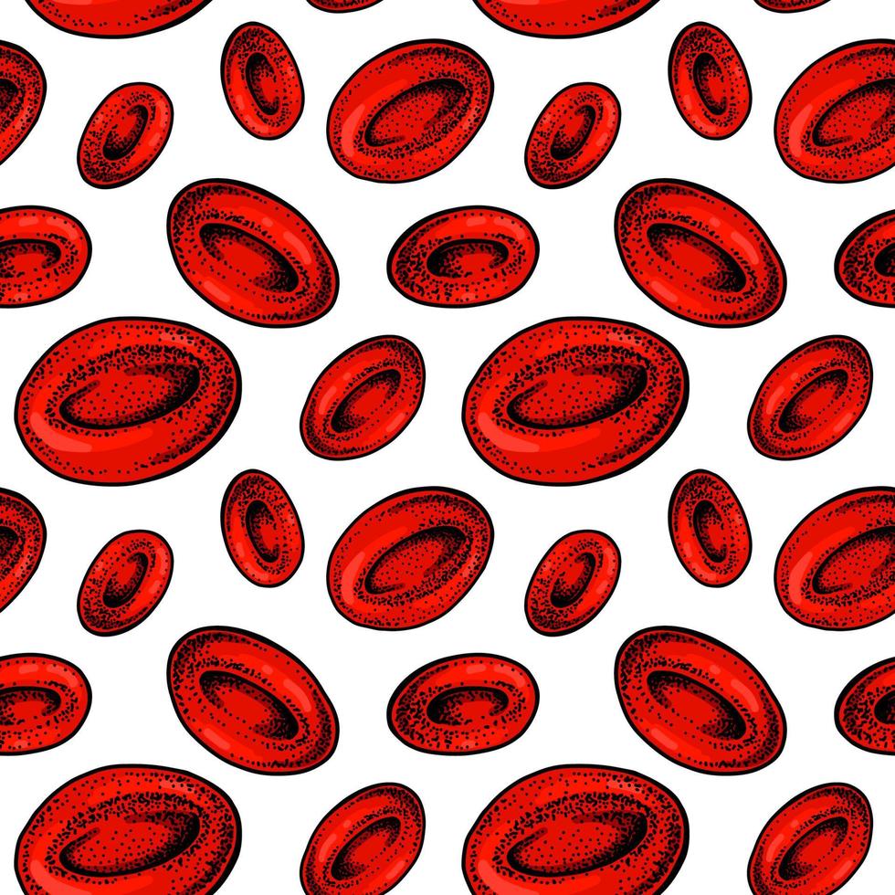 rouge du sang cellules sans couture modèle. main tiré érythrocytes. scientifique la biologie illustration dans esquisser style vecteur