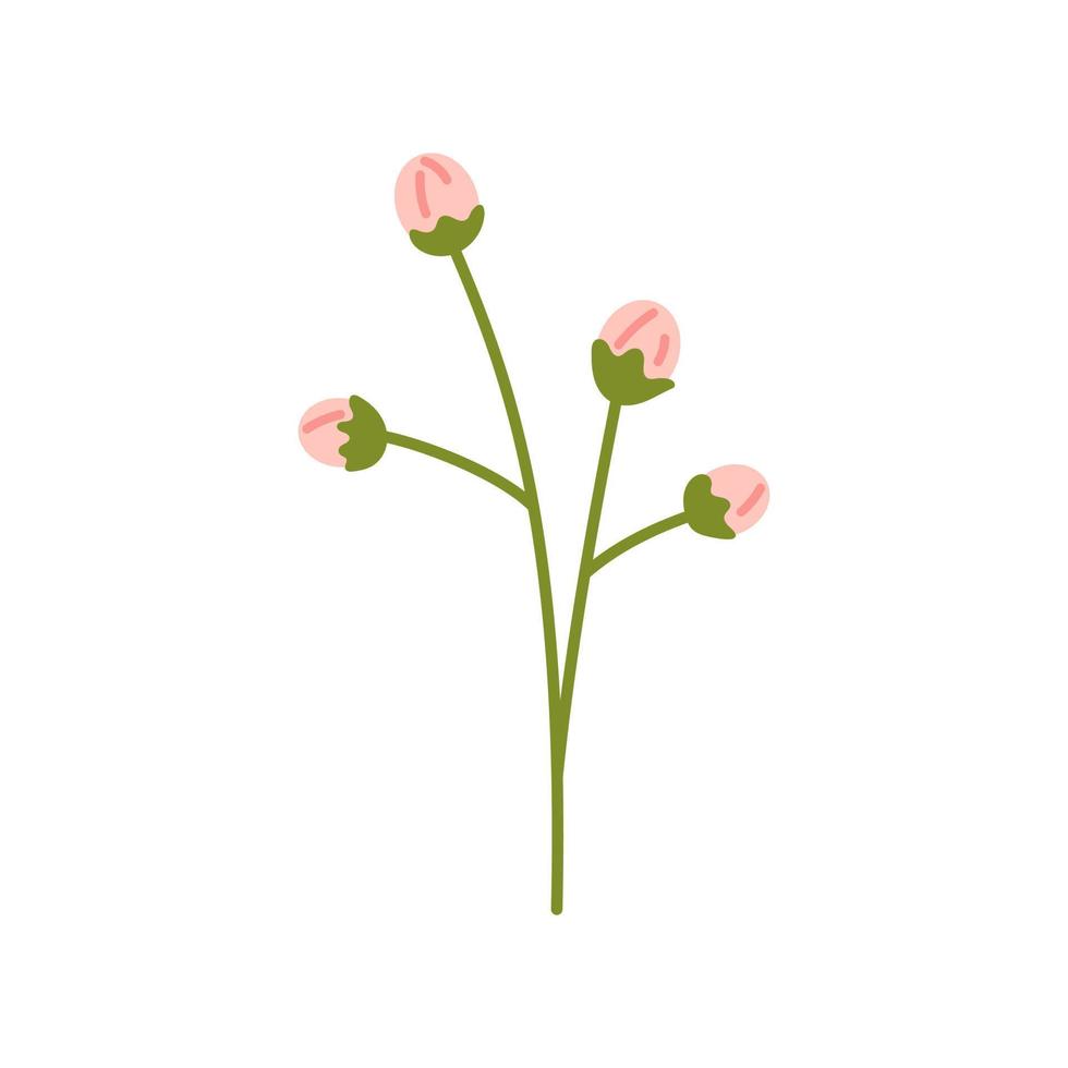 vecteur illustration de brindille avec lumière rose bourgeons. plante avec doux fleur bourgeons dans plat conception. fleur dans rose couleur. printemps botanique illustration.