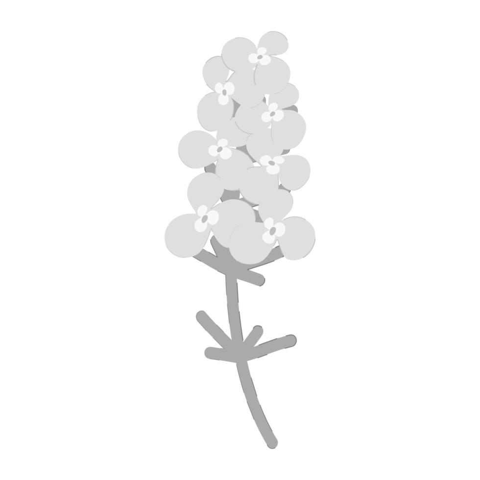 un abstrait niveaux de gris image de floraison phlox. autocollant. icône. isoler. Bonjour printemps. été saison vecteur