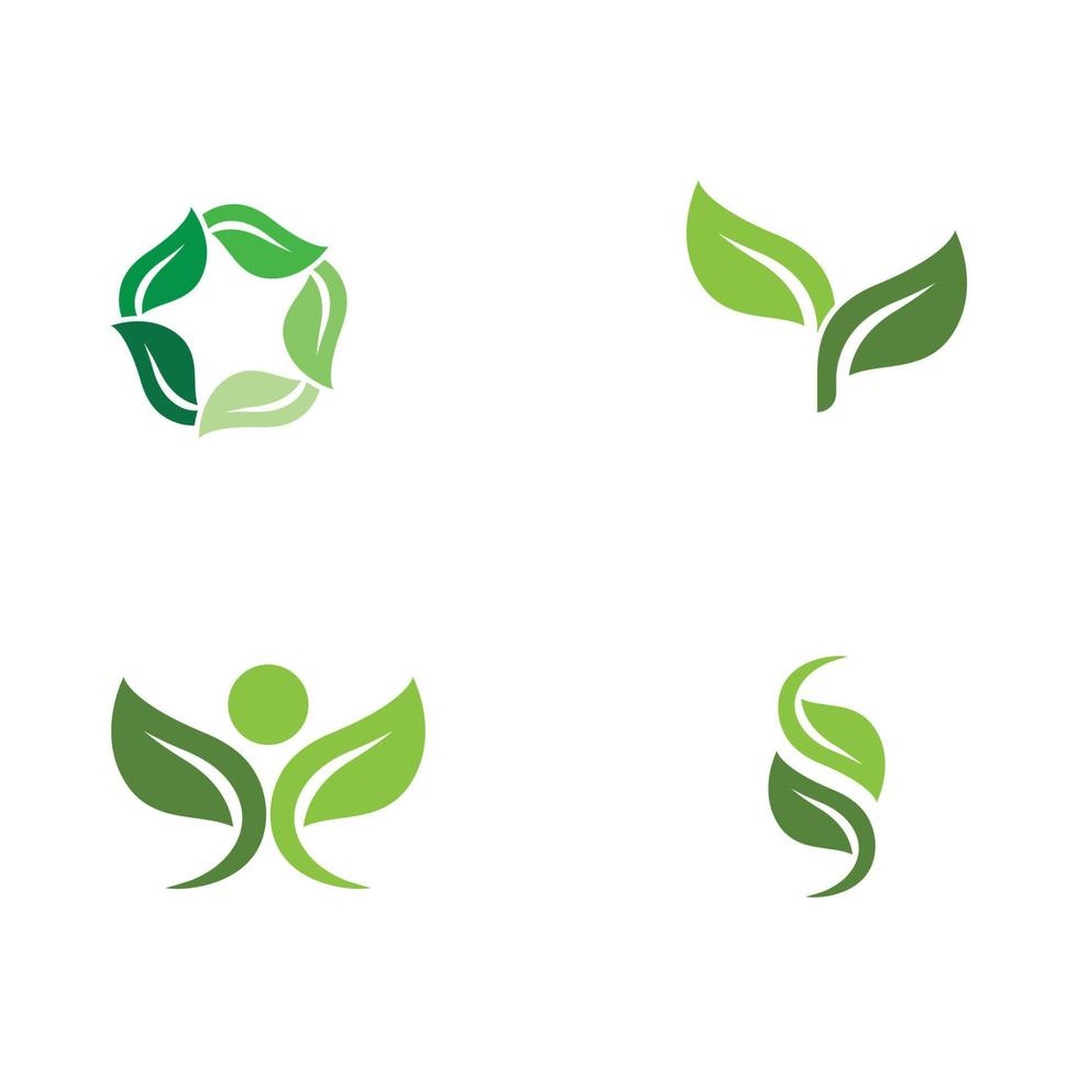 logos de l'écologie des feuilles d'arbre vert vecteur