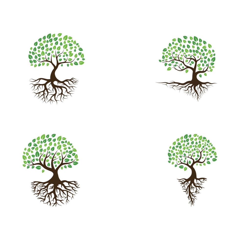 logos de l'écologie des feuilles d'arbre vert vecteur