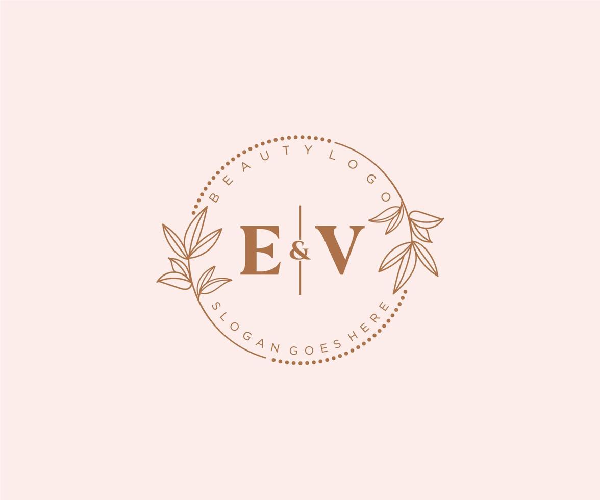 initiale ev des lettres magnifique floral féminin modifiable premade monoline logo adapté pour spa salon peau cheveux beauté boutique et cosmétique entreprise. vecteur