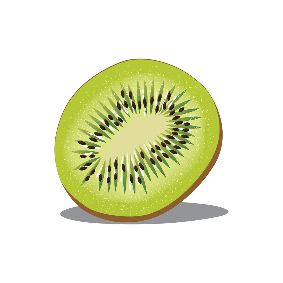 juteux mûr kiwi fruit vecteur