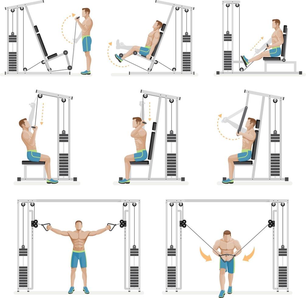 gym exercices machines équipements sportifs. illustration vectorielle. vecteur