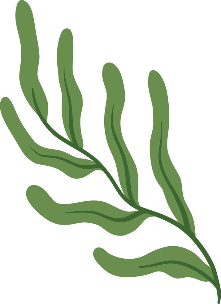 vert botanique feuilles illustration vecteur