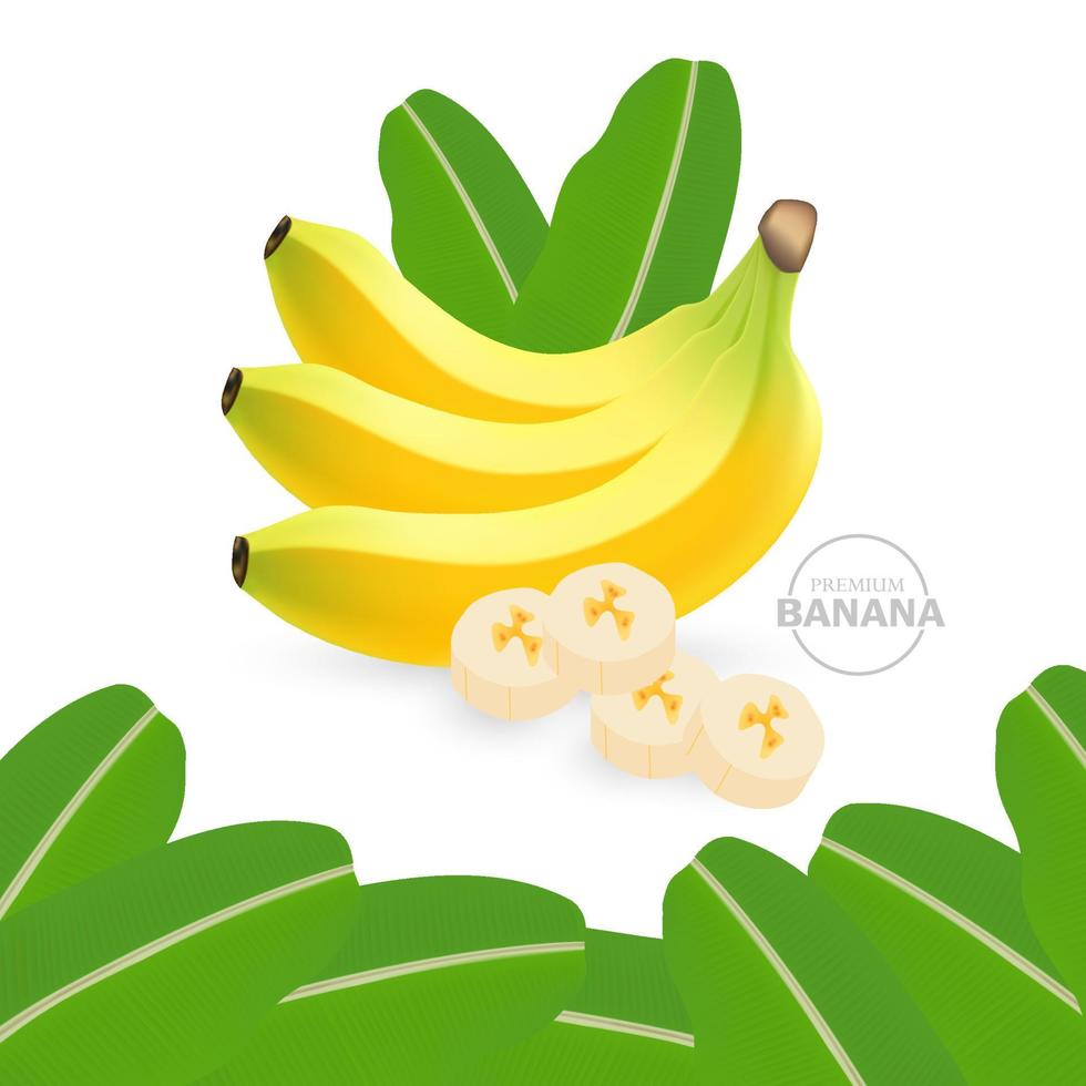 banane Frais fruit graphique vecteur .