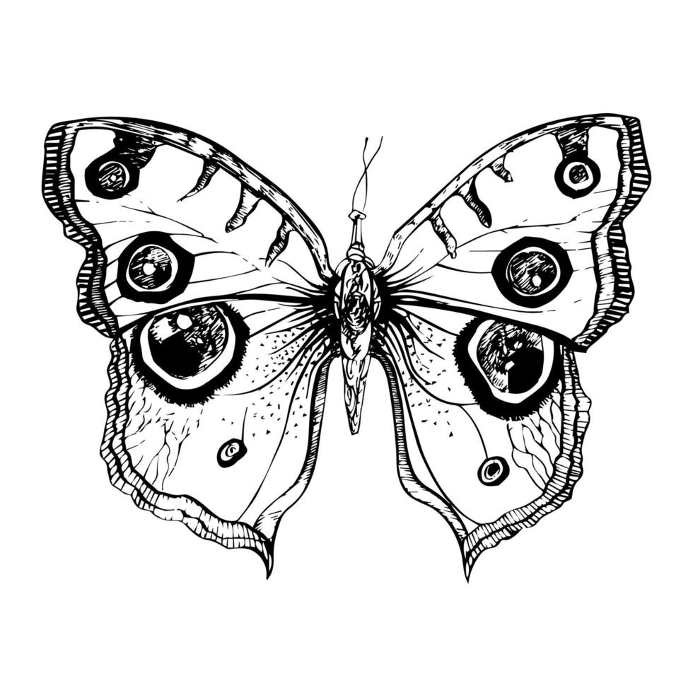 main tiré détaillé papillon. isolé sur blanc arrière-plan, vecteur insecte, monochrome illustration