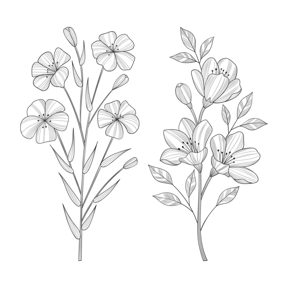 illustration de fleurs et de feuilles sauvages dessinés à la main isolée sur fond blanc. vecteur