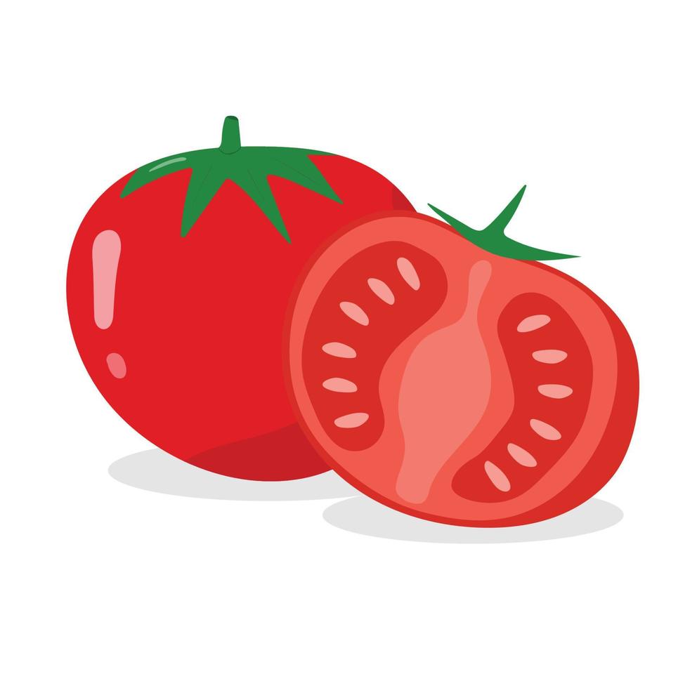 tomate rouge Frais avec feuilles. tranche tomate avec tomate des graines sur png Contexte. dessin animé style. vecteur