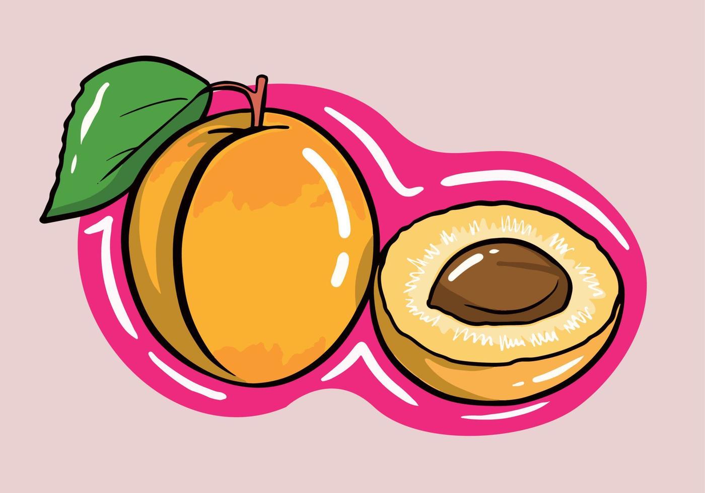 abricot fruit, mûr jardin vecteur plante entier et moitié pièce avec tige et noyau. dessin animé juteux Naturel en bonne santé ferme fruit.