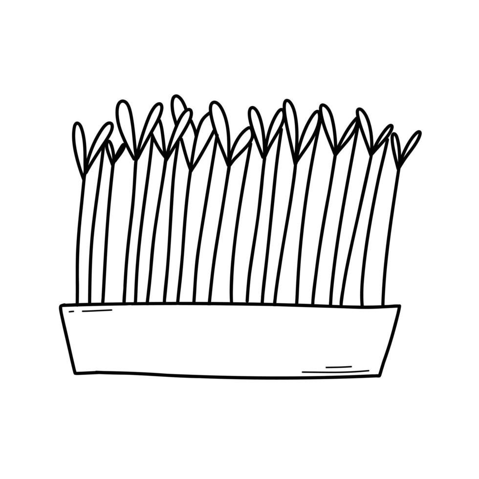 main tiré microgreens dans marmites. vecteur illustration dans griffonnage style isolé sur blanc Contexte. micro vert. betteraves, laitue, chou, oseille, oignon, un radis, roquette, petits pois. croissance superaliment à maison.