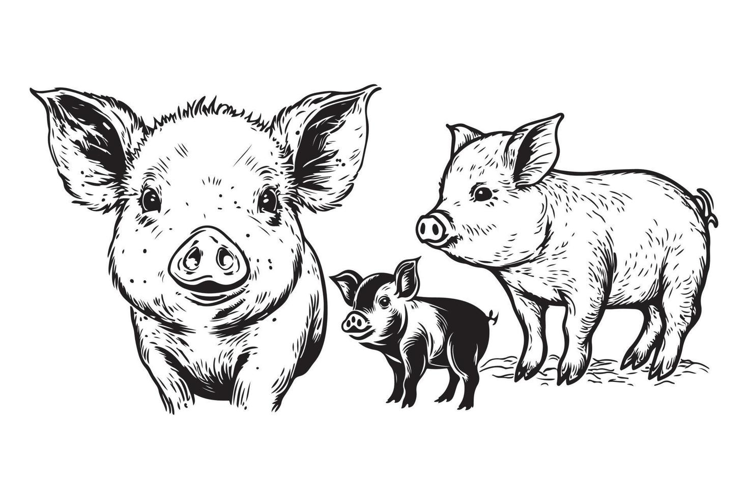 porc main dessin esquisser noir contour vecteur isolé sur blanc arrière-plan, porc clipart vecteur illustration