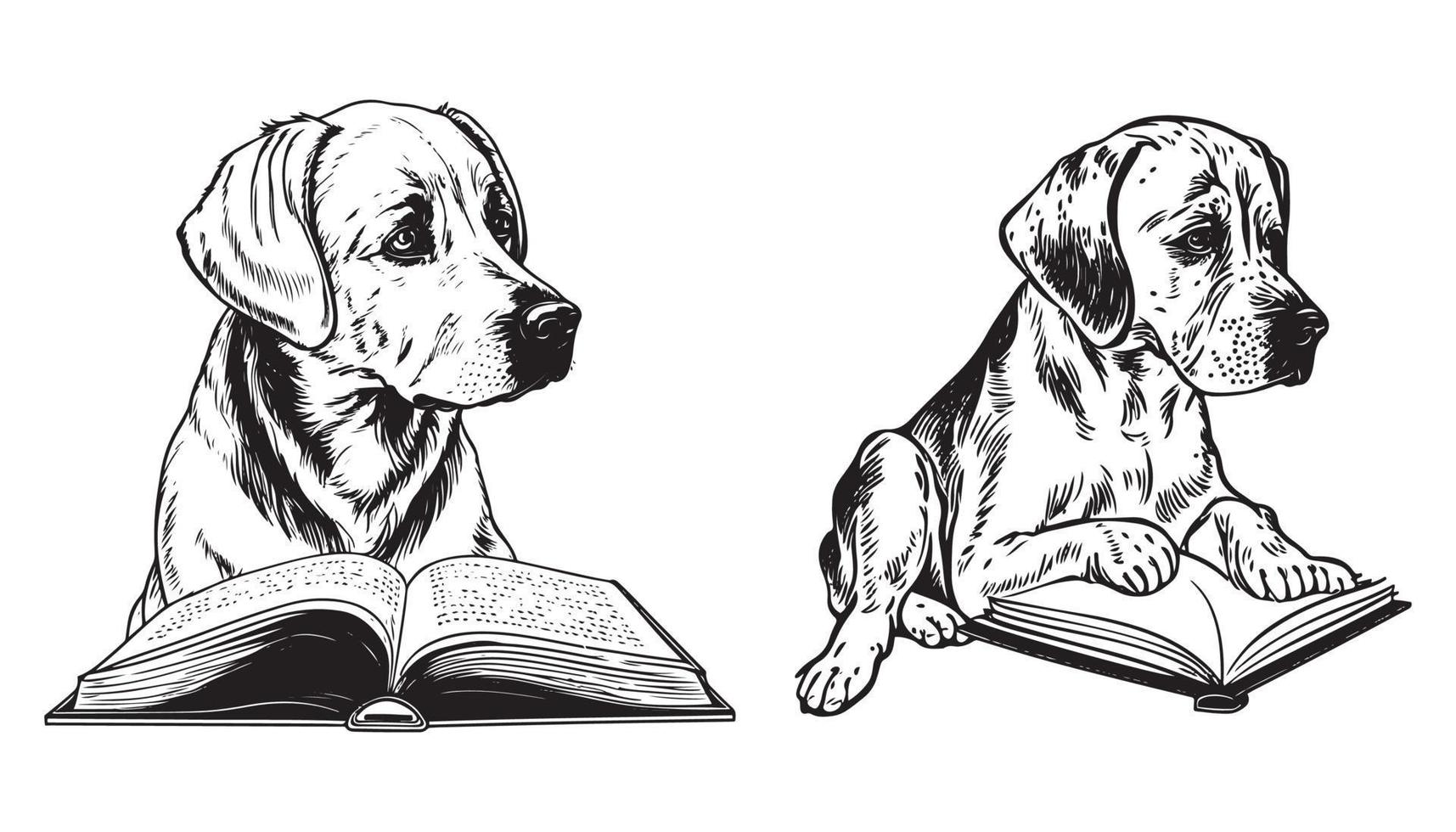 ensemble de une sièges mignonne chien en train de lire livre vecteur noir contour silhouette isolé sur blanc Contexte.