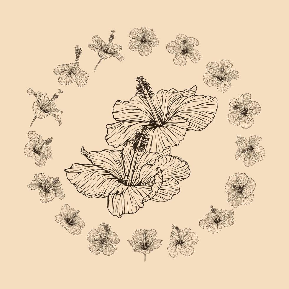 ensemble hibiscus fleur collection vecteur illustration avec ligne art. romantique la nature