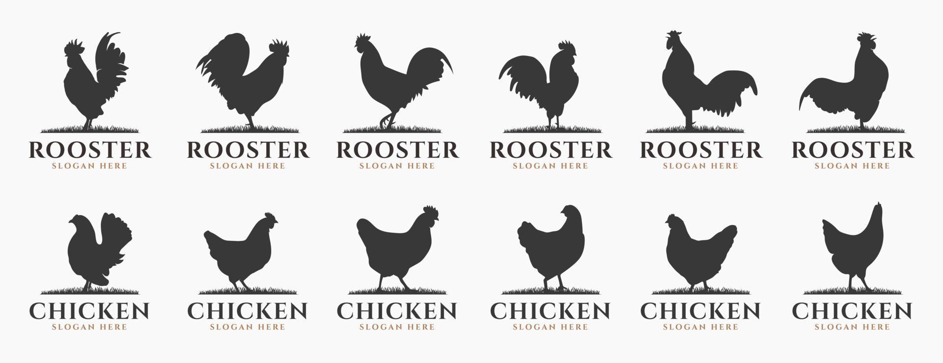 silhouette poulet bétail, ferme logo empaqueter. parfait pour entreprise logos, affaires et l'image de marque. vecteur